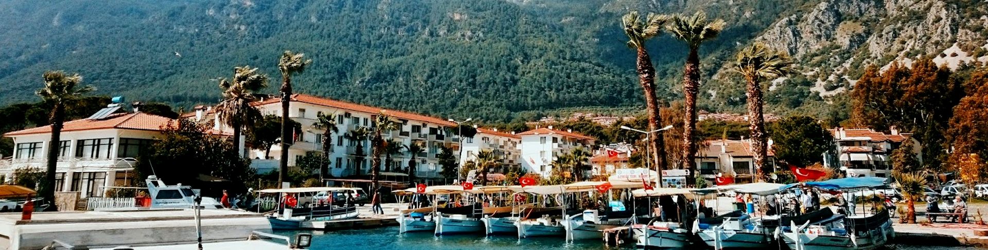mugla_peyzaj_firmaları_0